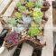 American Country Style Wicker Flower Basket for Sale