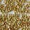 Buckwheat peeled grsins fro sale