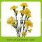 Pure and mild flavor crazy selling diversified in packaging inflatable carnation cut flower