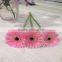 Hot Sales Perfume and Fresh Gerbera Cut Flowers