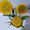 Wholesale new product artificial dandelion flower Artificial Dandelions with Led Light