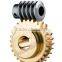 Wormgear Brass Steel Worm With Black Surface Treatment