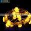 Manufacturer Factory Sales Modeling Christmas LED String Lights with different shape