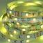 30leds /m Flexible Led Strip Smd5050 With CE RoHS