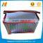 Youhao Packing Custom Logo Foldable Insulated Cool Ice Picnic Lunch Ccooler Bag