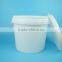 Plastic Packaging Container, 10L Paint Pail, Plastic Pail with Handles