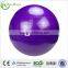 ZHENSHENG exercise gym yoga ball