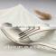 18/0 304 Fashion Design Flatware Inox Cutlery Set KX-D025