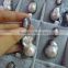Charming natural pearl pendant rhinestone and diamond