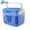 Good Design Thermoelectric Cooler Micro Car Fridge 10 Liters Portable Car Cooler Mini Fridge