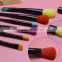 Professinal Beauty Hot New Fashion Wholesale Factory Direct Sales 6Pcs Blush Contour Lip Cosmetics Brush Set