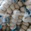 5p/3p garlic package/ garlic in bulk package