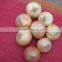 Red Onion ( Red - Yellow - White - spring onion ) For Sale
