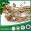 Dried Agrocybe Aegerit/ Agrocybe Cylindracea/ Tea Tree Mushroom/ Chashugu/ Edible Fungus