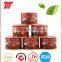 70g Tomato Paste of VEGO Brand Packing in Sachet