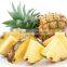 spray dried 100 % water - soluble Pineapple Fruit Powder