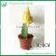 Lucky Mini Colorful Cactus