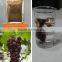 organic fertilizer sargassum seaweed fertilizer