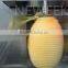 Neweek double honey-dew melon stripping wax gourd peeler machine