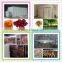 2015 high-tech factory price cost effective automatic control garlic dryer
