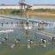 High Quality Floating Lake Fountain in China