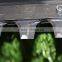 powerful gasoline hedge trimmer parts
