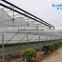 uv blocking PC Sheet Covered Greenhouse used For Vegetables
