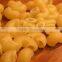 CY Macaroni Production Line
