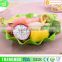 Multifunctional Plastic Fruit Plate PP Material Decorative Dish Tray