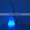 Environmental Protection PE Warm RGB Light Plastic Waterproof LED Table Lamp/lantern