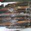 meat claws of illex squid