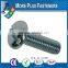 Made in Taiwan Slotted Phillips Pozi Pan Cheese Head Machine Screw Brass Material Stainless Steel Carbon Steel