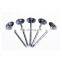 Hot Sale Twist Roofing nail(SW-043B)
