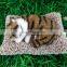 Bamboo charcoal adsorption dog Environmental protection Simulation toy dog Electronic pet plush animals robot dog