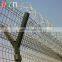 QYM-Airport Fence Security Razor Wire Airport Fence
