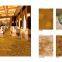 Yamei Lagend high quality wall to wall huge hall carpet MW22003