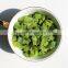 Sinocharm BRC Approved 10*10mm Fresh Crisp IQF Frozen Green Pepper Dice