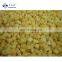 High Quality Hot Sale IQF Frozen Mango Dice IQF Mango Cube