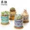 Hot Selling Modern Garden Pots Cheap Ceramic Succulent Unique Small Indoor Cute Flower Pot