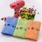 Microfiber Glass Cloth