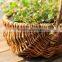 decorative hand-crafted wicker basket for sale