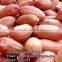 VIETNAM_BEST PRICE_PEANUTS KERNEL/GROUNDNUTS