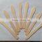 Birch Wooden Ice cream sticks from yantai zhitong