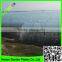 HDPE transparent agricultural anti insect net/insect repellent net