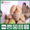 Hotsale Fresh Whole Part China Mushroom Shiitake Growing Sawdust Spawn
