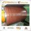 hot rolled prepainted strip coil HDG sheet coils color strip steel