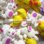 2016 new water growing Chirstmas toys suprise toys animal shape toys