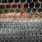 Hexagonal Chicken Galvanized Wire Mesh