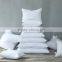 Pillow Sofa Cushion