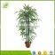 wholesale in stock mini artificial bamboo tree for indoor decoration